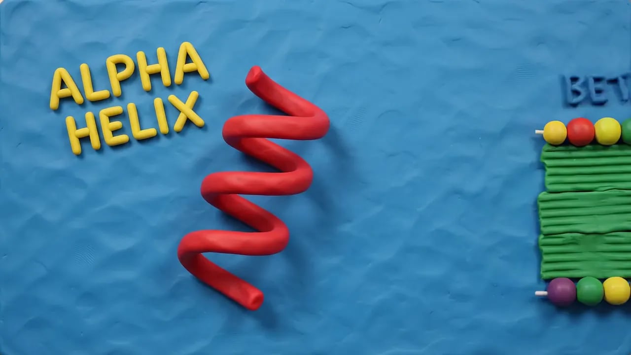 Science and Education Explainers