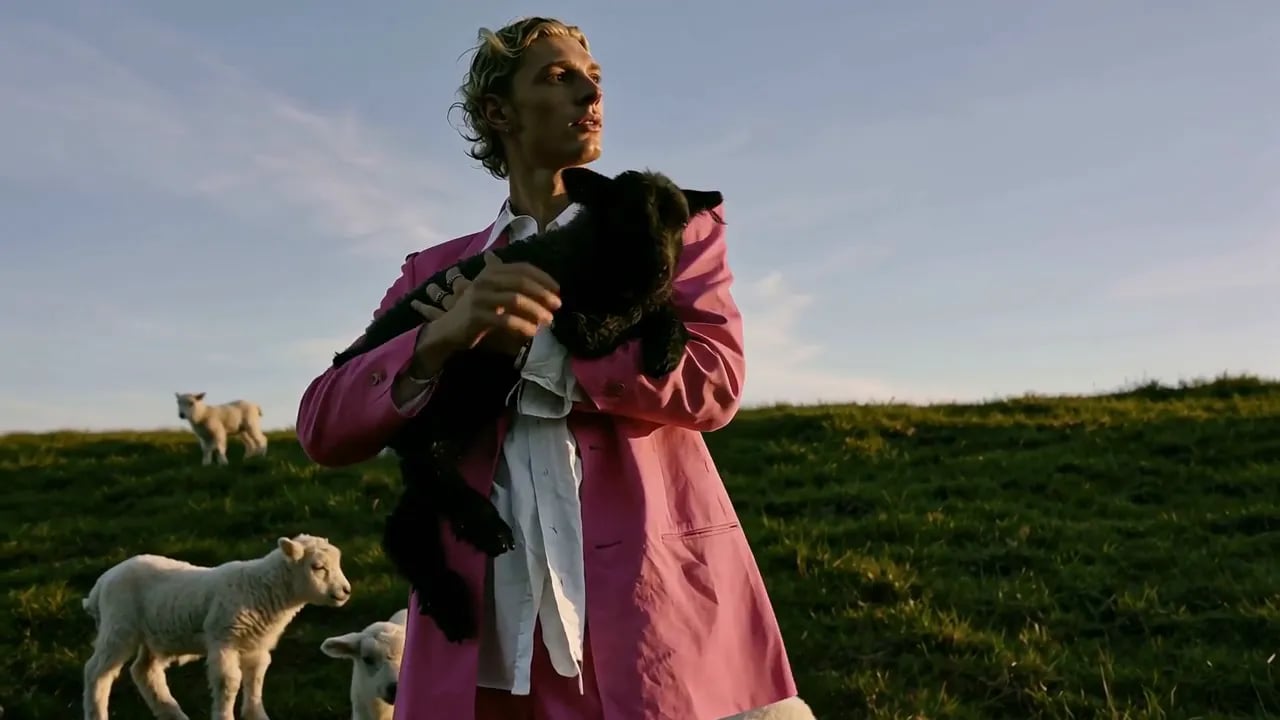 A young man in a pink suit holds a black lamb on a grassy hill at golden hour.